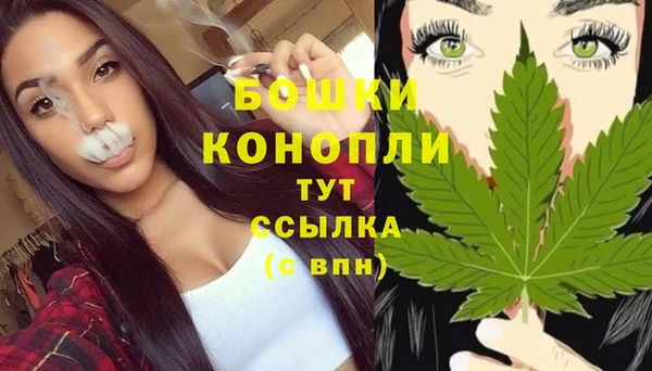 СК Краснослободск