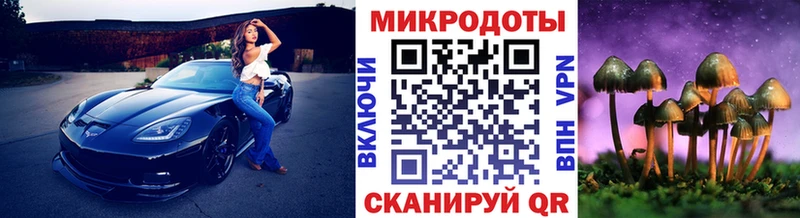 Псилоцибиновые грибы GOLDEN TEACHER что такое Юрга